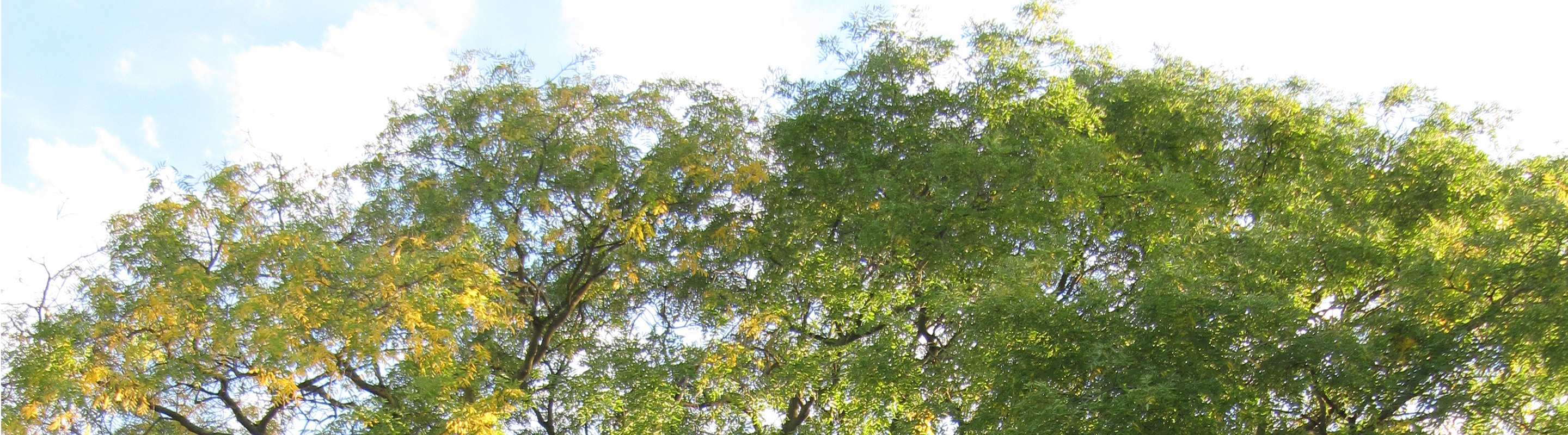 impressum-und-datenschutz-titelbild